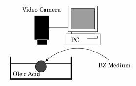 Fig.3.1